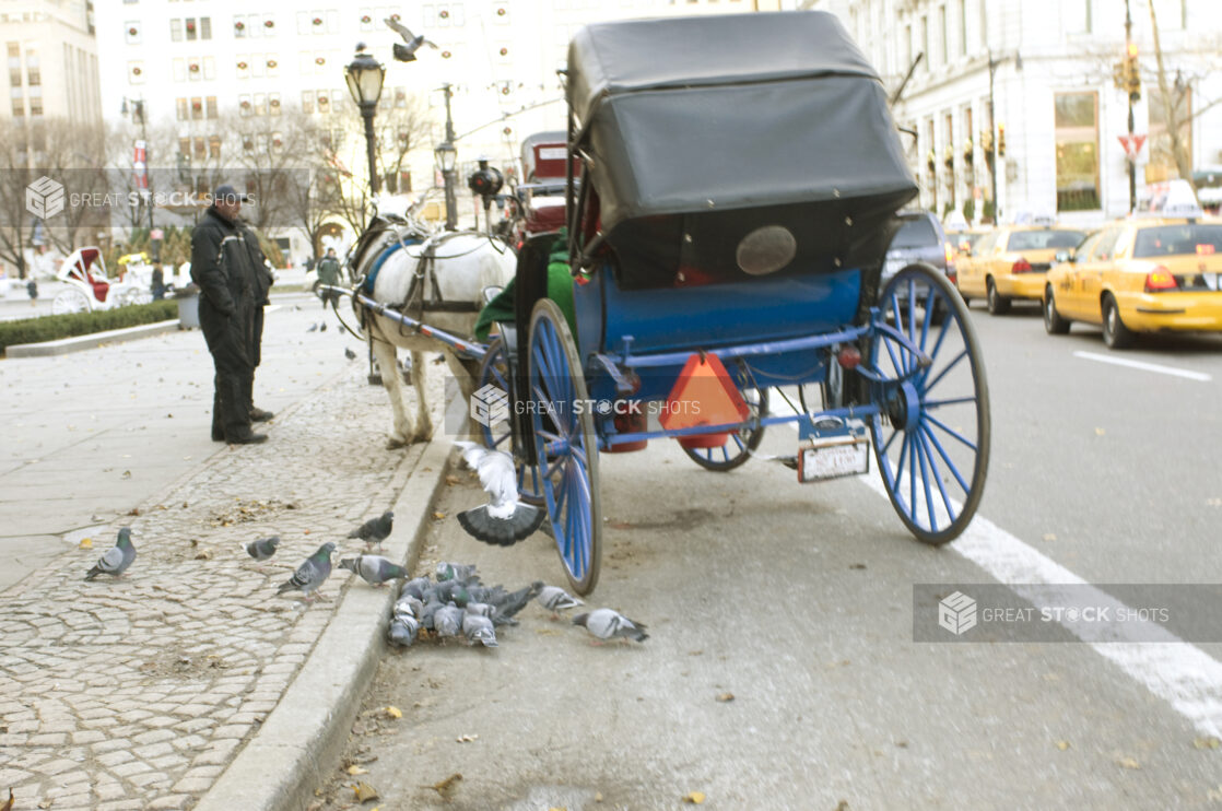 Rear View of a Horse-Drawn Carriage Outside Central Park in Manhattan, New York City at Winter