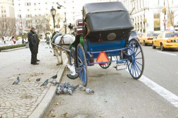 Rear View of a Horse-Drawn Carriage Outside Central Park in Manhattan, New York City at Winter