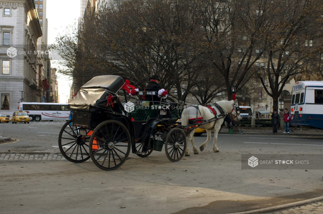 View of a Horse-Drawn Carriage From Central Park in Manhattan, New York City During Winter