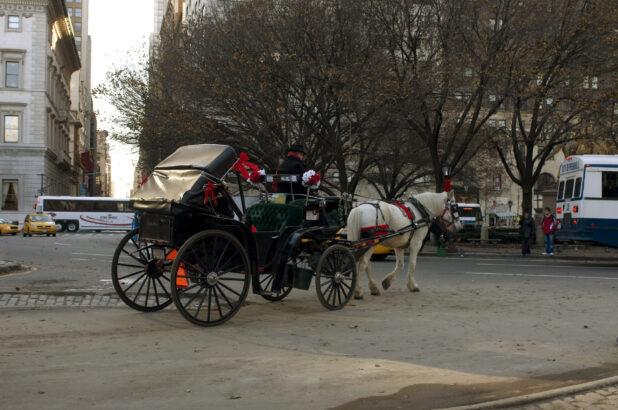 View of a Horse-Drawn Carriage From Central Park in Manhattan, New York City During Winter