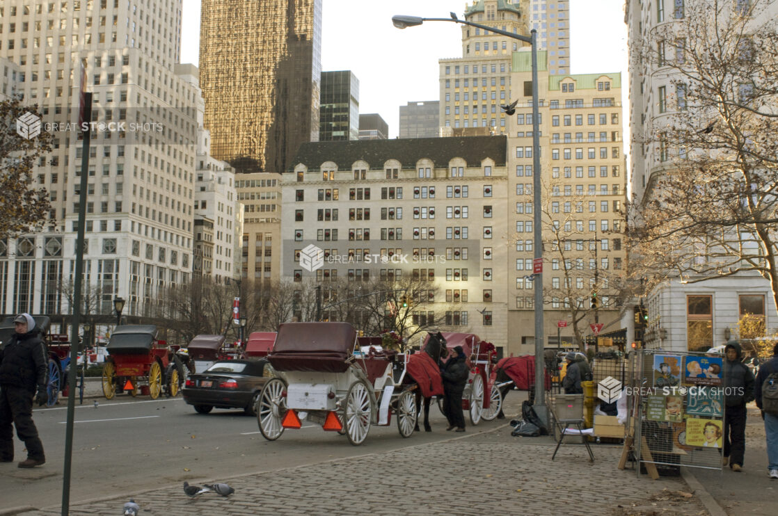 Street Level View of Horse-Drawn Carriages Waiting on the Streets of Manhattan, New York City