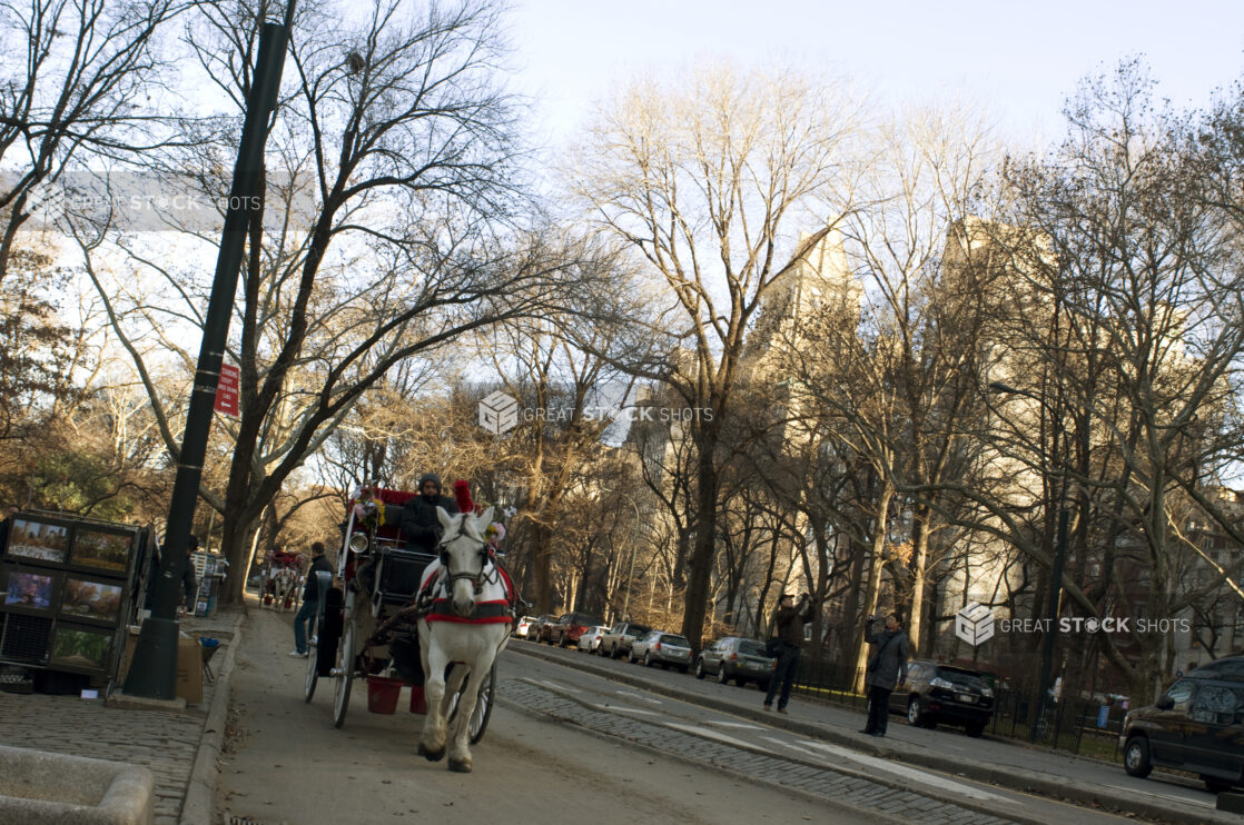 A Horse-Drawn Carriage Passing a Tree-Lined Street in Manhattan, New York City