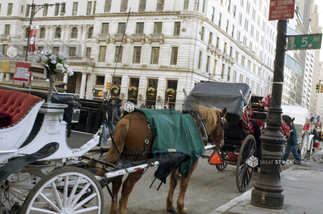 Horse-Drawn Carriages on Stand-By Outside the Plaza Hotel in Manhattan, New York City