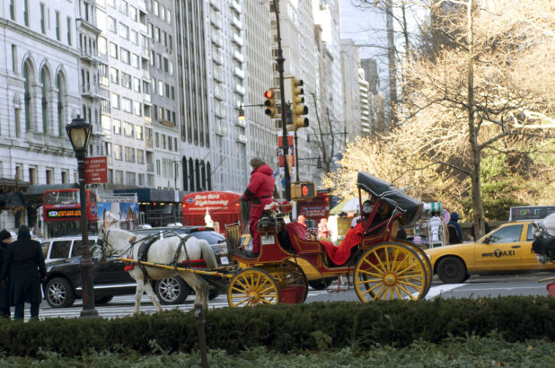 A Horse-Drawn Carriage Carrying Tourists Along a Street in Manhattan, New York City