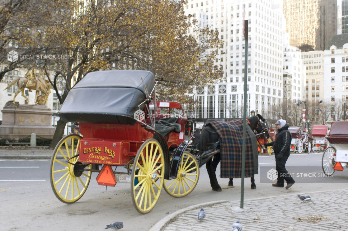 Rear View of a Central Park Carriage and Horse Outside the Grand Army Plaza in Manhattan, New York During Winter