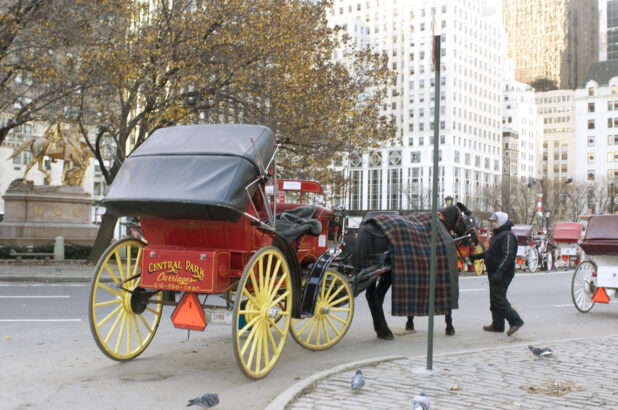 Rear View of a Central Park Carriage and Horse Outside the Grand Army Plaza in Manhattan, New York During Winter