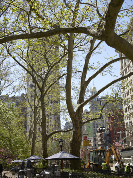 View From Central Park Towards the Flatiron Building in Manhattan, New York City