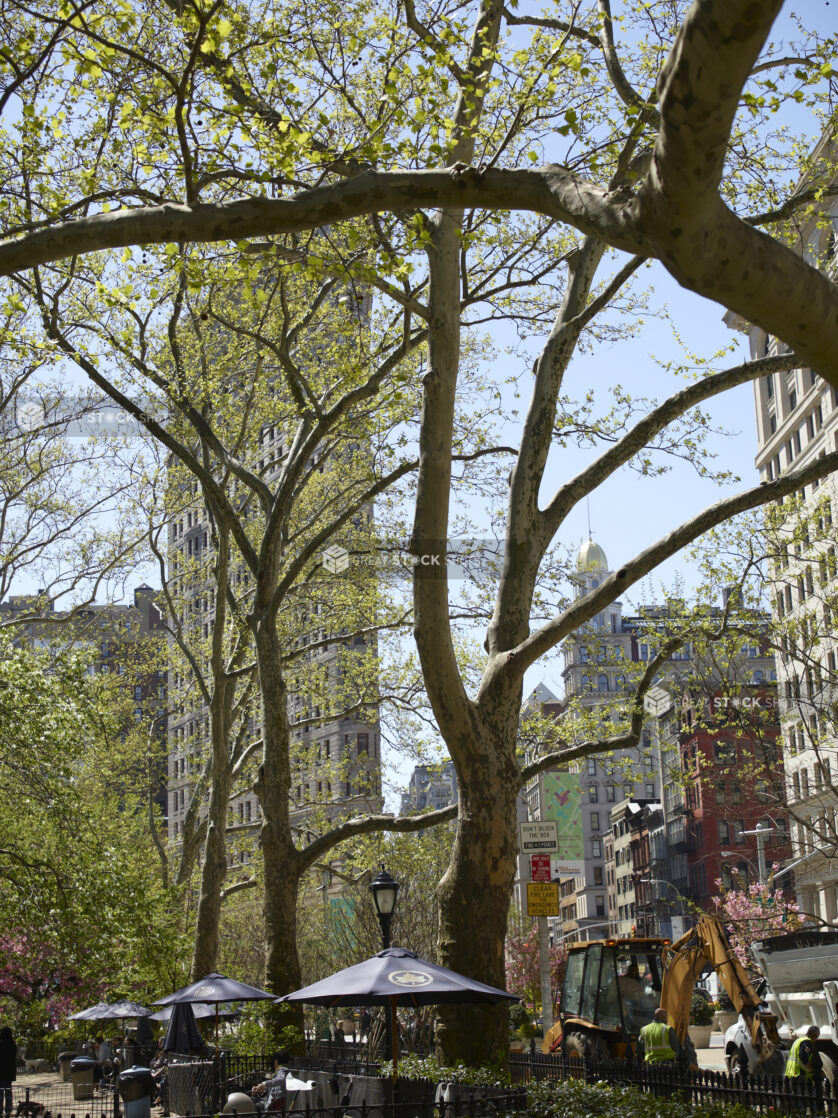 View From Central Park Towards the Flatiron Building in Manhattan, New York City