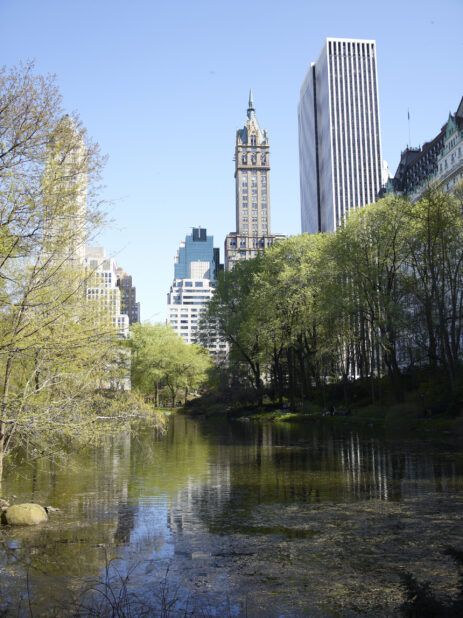 View Across a Pond in Central Park Towards the Sherry-Netherland Hotel and other Office Towers in Manhattan, New York City - Variation