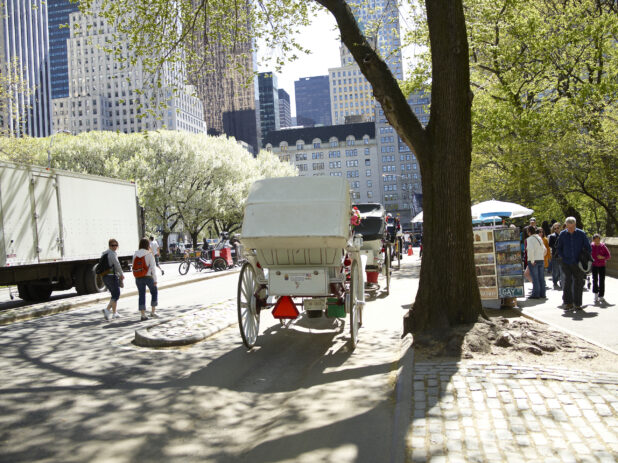 Rear View of Horse-Drawn Carriages on Stand By in Front of Central Park in Manhattan, New York City