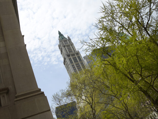 Low Angle View Towards the Woolsworth Building From Central Park in Manhattan, New York City