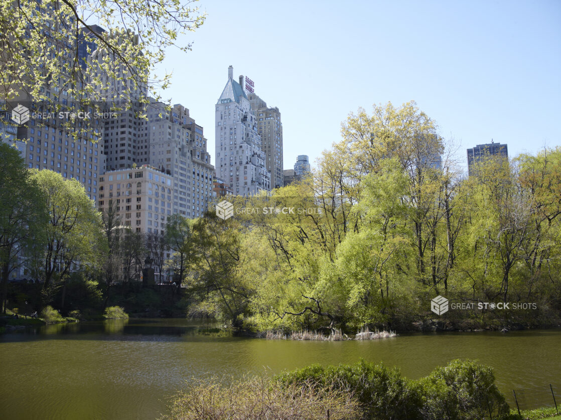 View Across a Pond in Central Park Towards Office Towers and Other Buildings in Manhattan, New York City