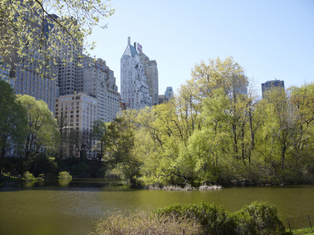 View Across a Pond in Central Park Towards Office Towers and Other Buildings in Manhattan, New York City