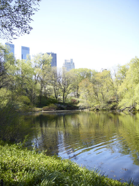 View of a Pond/Lake in Central Park with Skyscrapers in the Distance in Manhattan, New York City