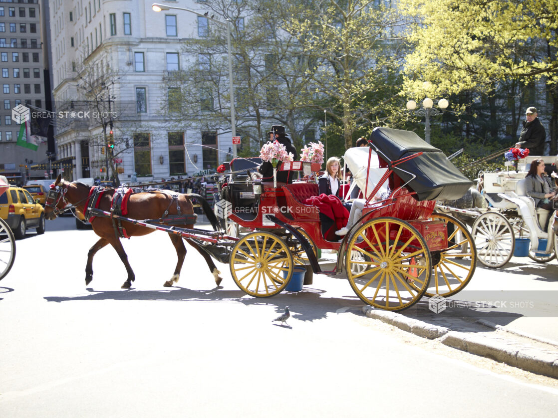 Tourists Riding a Horse-Drawn Carriage Outside Central Park in Manhattan, New York City - Variation2