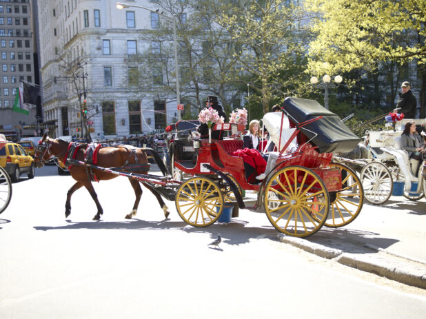 Tourists Riding a Horse-Drawn Carriage Outside Central Park in Manhattan, New York City - Variation2