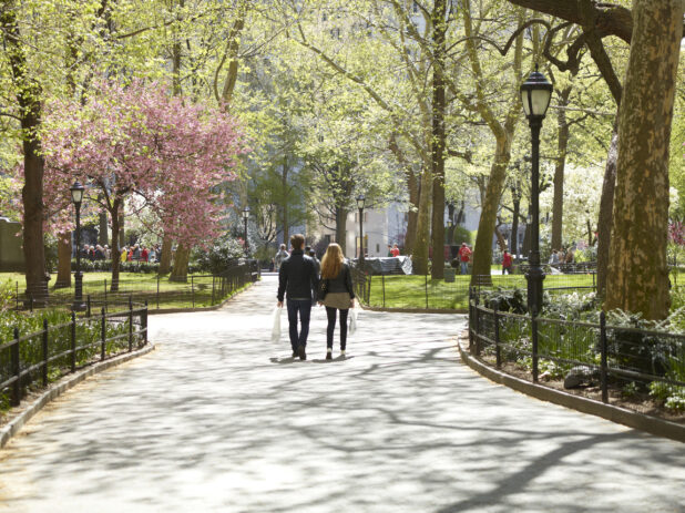 Springtime in Central Park, Manhattan, New York City - Variation