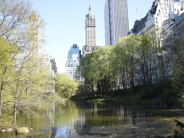 View Across a Pond in Central Park Towards the Sherry-Netherland Hotel and other Office Towers in Manhattan, New York City
