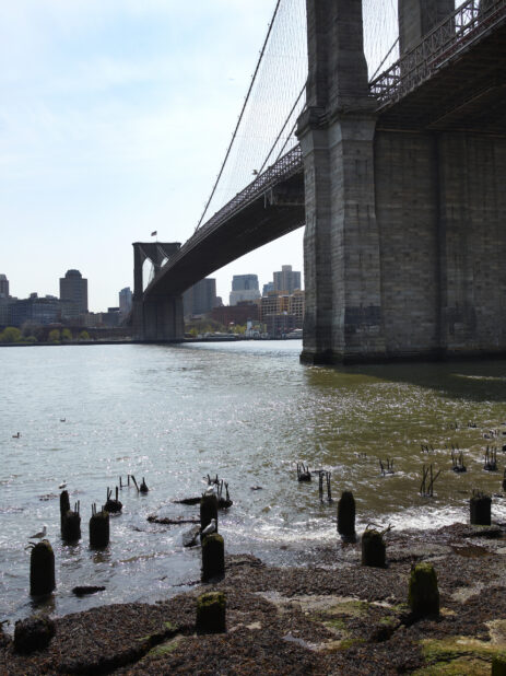 View of the Underside of Brooklyn Bridge from the East River Shore in Manhattan, New York City