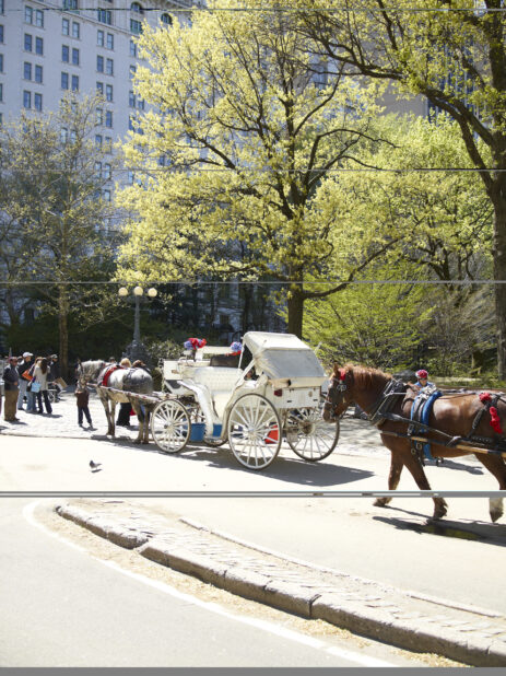 Tourists Riding a Horse-Drawn Carriage Outside Central Park in Manhattan, New York City – Variation4
