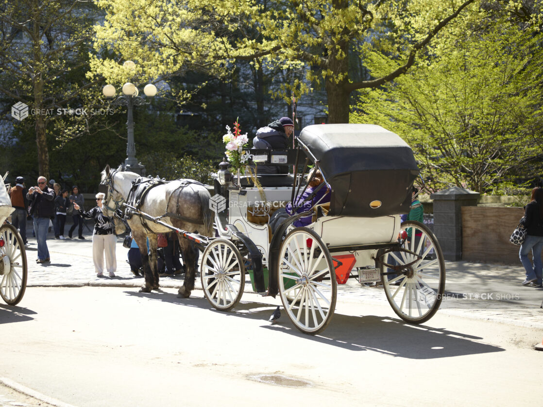 Rear-View of a Horse-Drawn Carriage Outside Central Park in Manhattan, New York City – Variation2