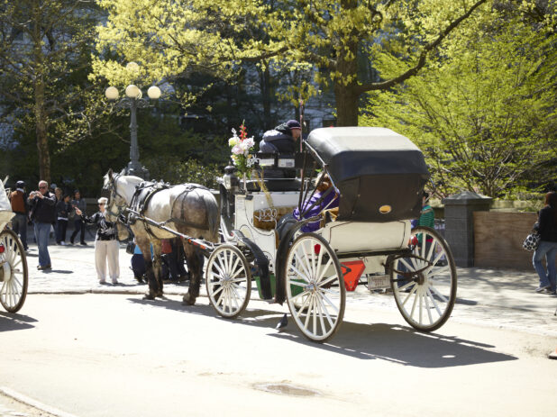 Rear-View of a Horse-Drawn Carriage Outside Central Park in Manhattan, New York City – Variation2