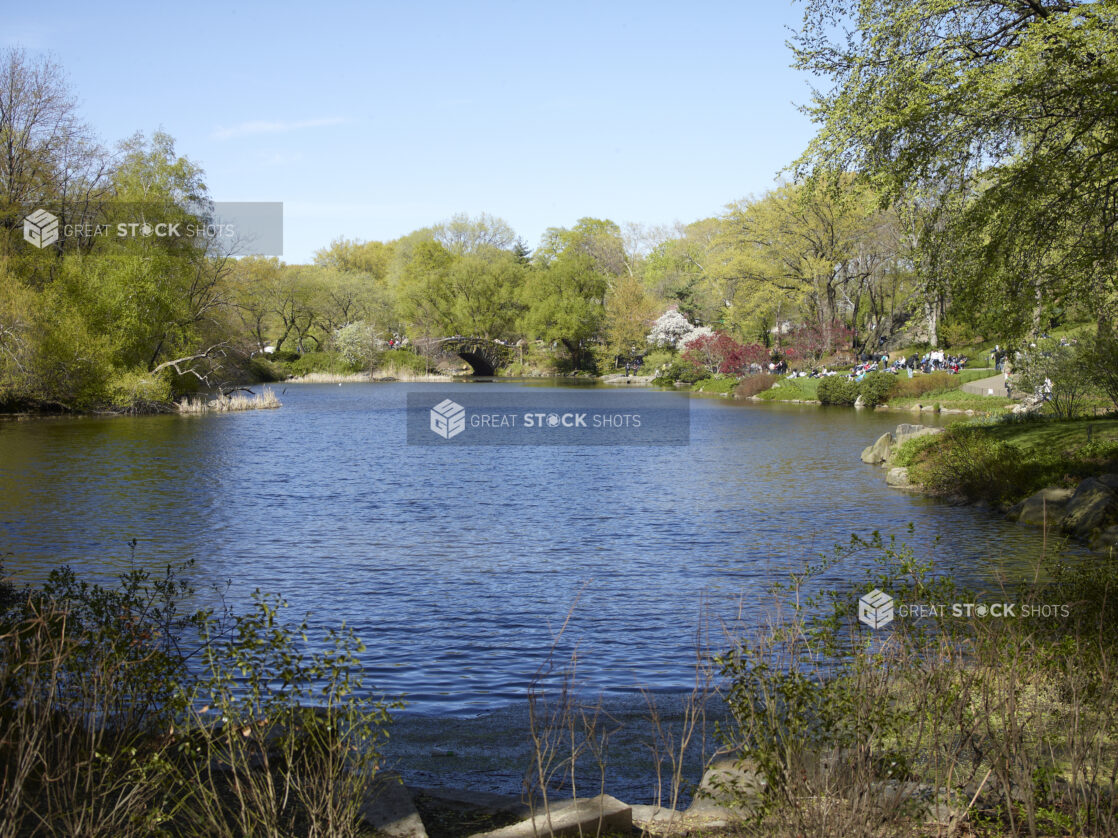 View of a Pond/Lake in Central Park with People Sitting on Grass in Manhattan, New York City - Variation