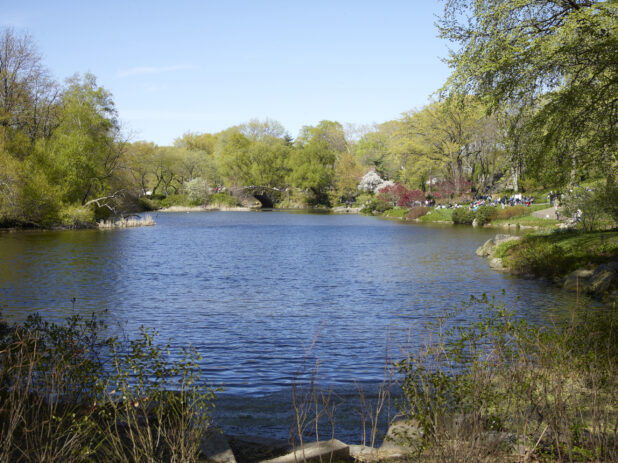 View of a Pond/Lake in Central Park with People Sitting on Grass in Manhattan, New York City - Variation