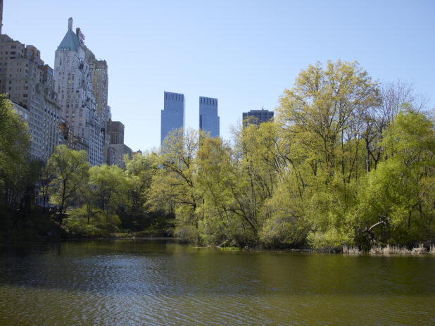 View Across a Pond in Central Park Towards Time Warner Center and Other Buildings in Manhattan, New York City