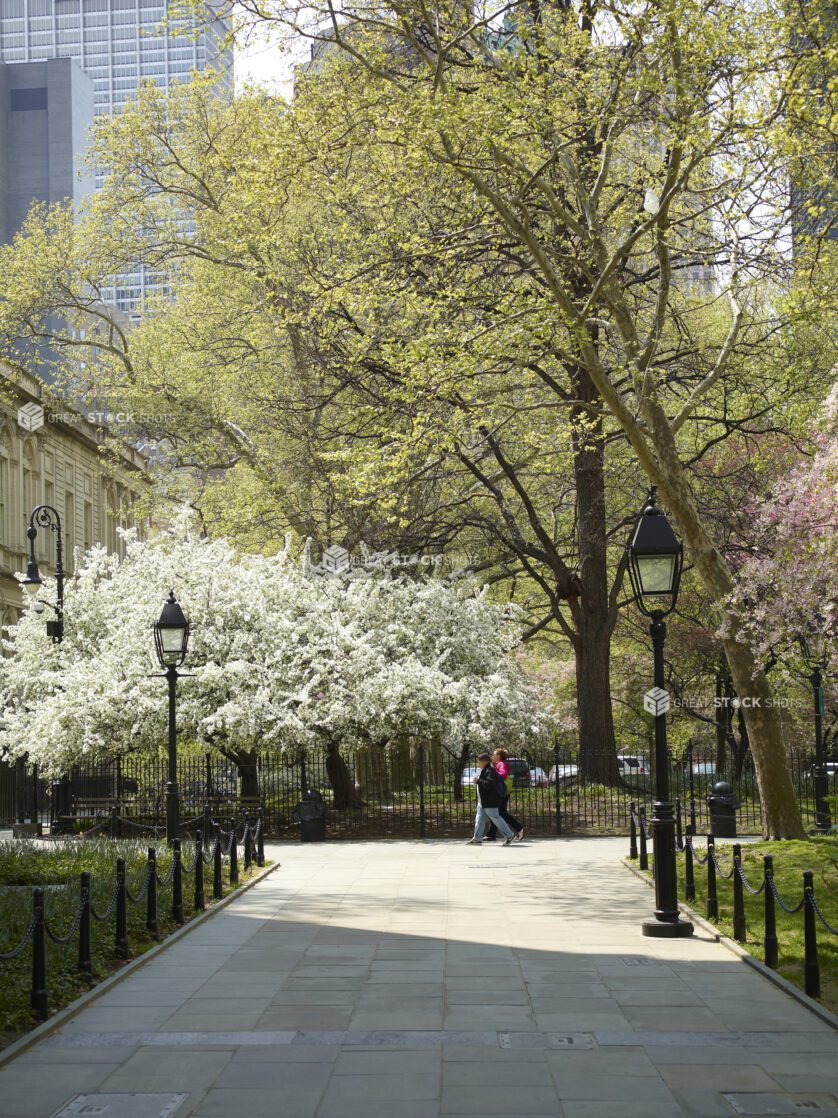 View of a Walking Path in Central Park in Manhattan, New York City