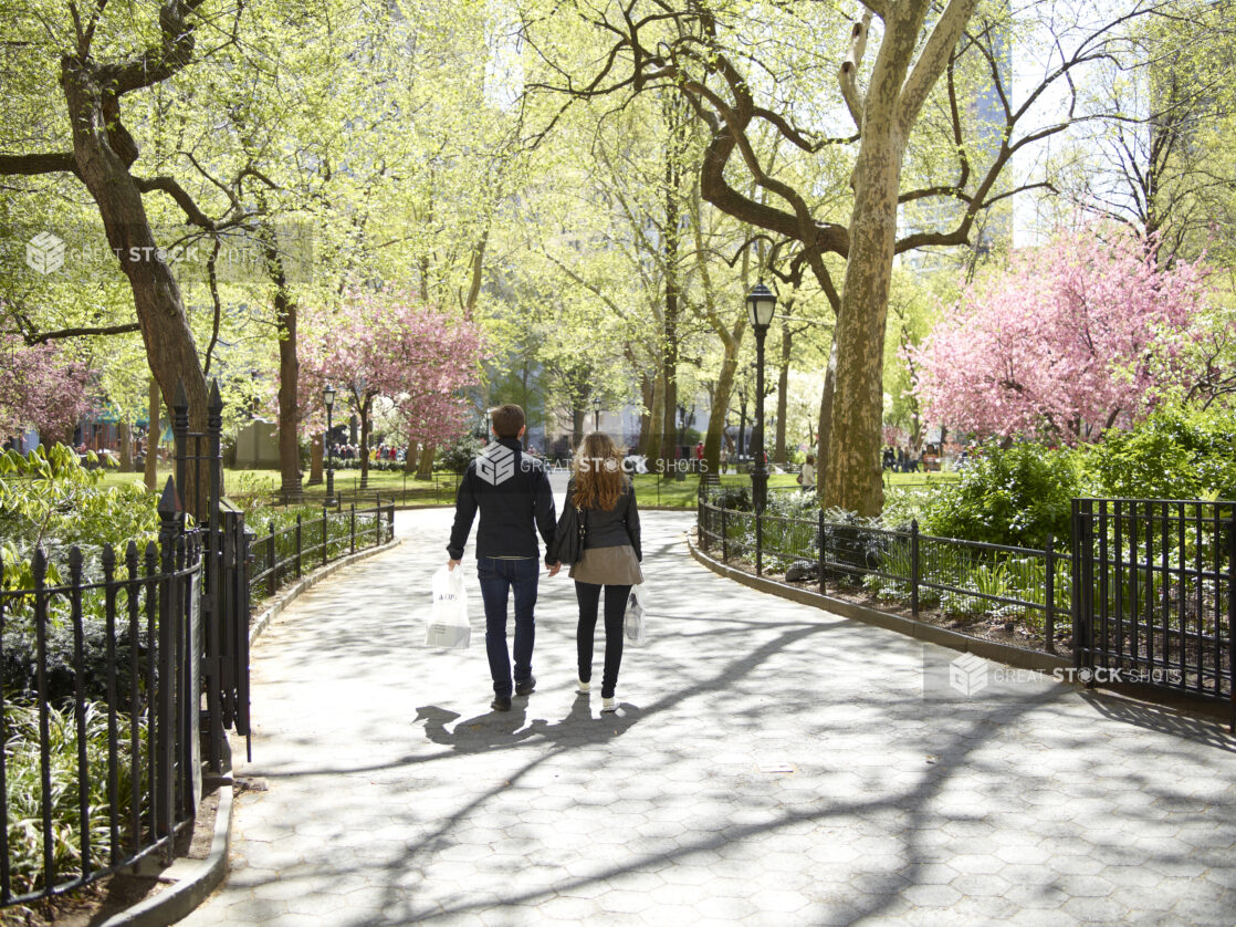Springtime in Central Park, Manhattan, New York City - Variation 2