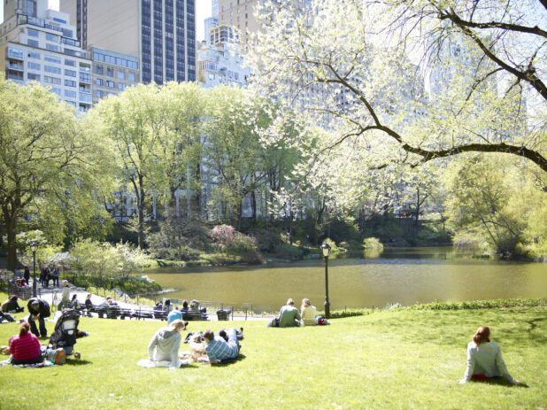 People Sitting on the Grass in Front of a Pond in Central Park, New York City