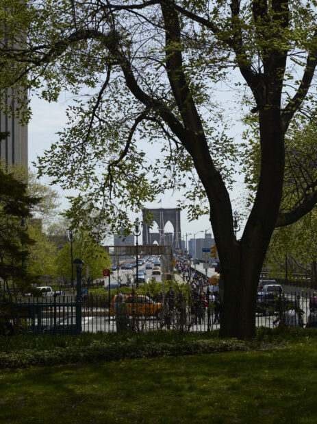 View Down Brooklyn Bridge Promenade from City Hall Park in Manhattan, New York City - Variation2