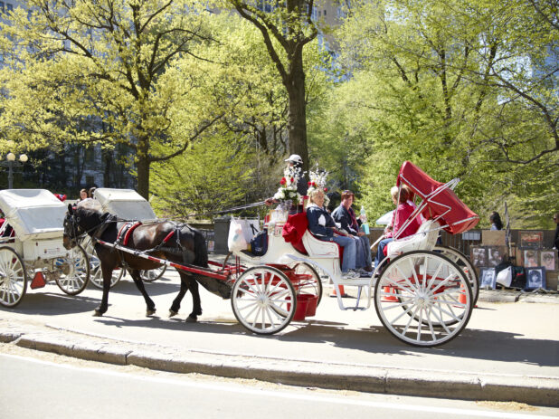 Tourists Riding a Horse-Drawn Carriage Outside Central Park in Manhattan, New York City - Variation