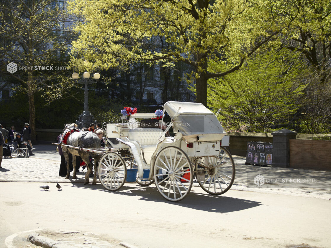 Rear-View of a Horse-Drawn Carriage Outside Central Park in Manhattan, New York City - Variation