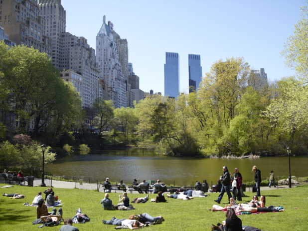 People Sitting on the Grass in Front of a Pond in Central Park, New York City - Variation