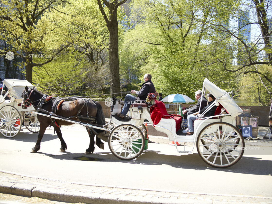 Tourists Riding a Horse-Drawn Carriage Outside Central Park in Manhattan, New York City – Variation3