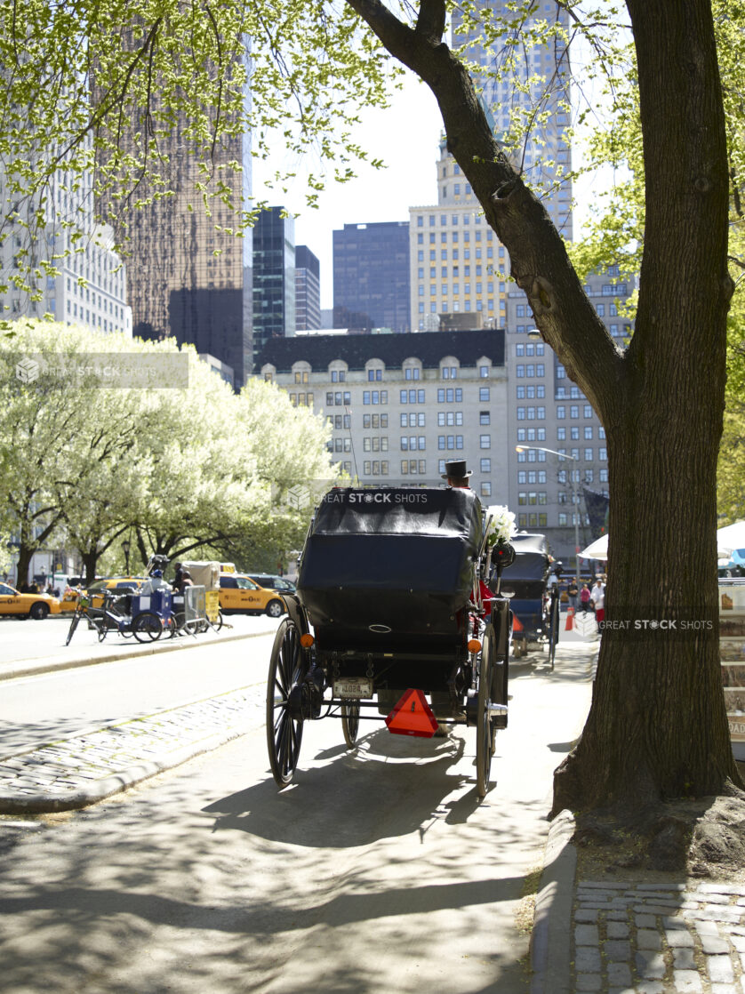 Rear-View of a Horse-Drawn Carriage in Manhattan, New York City