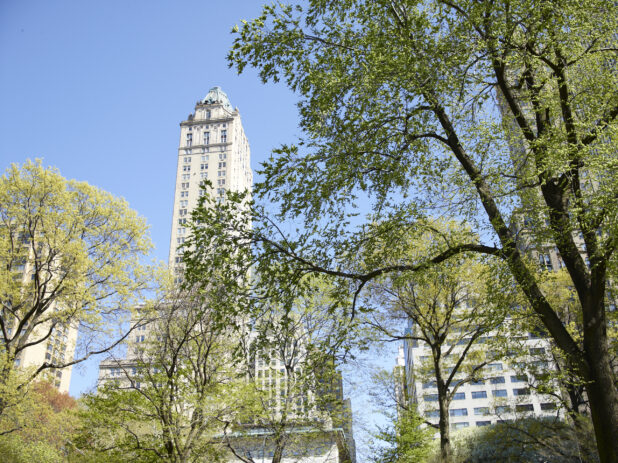 View of The Pierre Hotel from Central Park in Manhattan, New York City - Variation