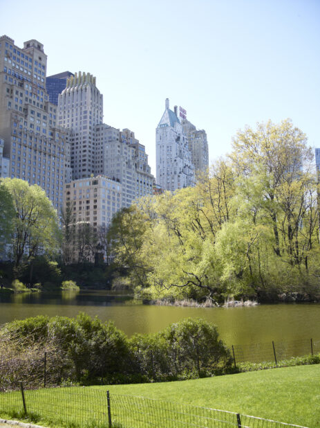 View Across a Pond in Central Park Towards Office Towers and Other Buildings in Manhattan, New York City - Variation