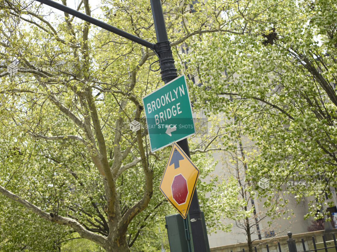 Street Sign Pointing to Brooklyn Bridge in Manhattan, New York City