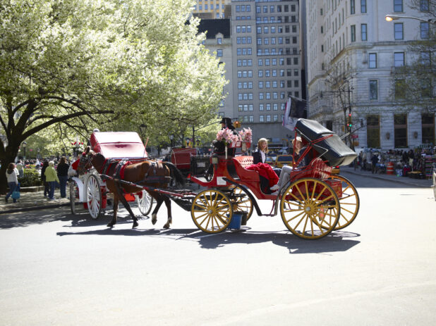 Tourists Riding a Horse-Drawn Carriage Outside Central Park in Manhattan, New York City