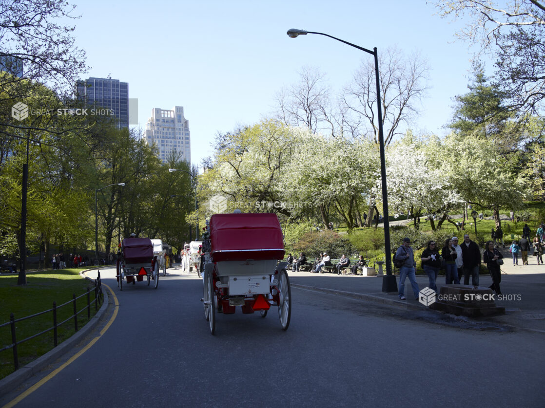View of the Back of a Horse-Drawn Carriage Passing Through Central Park in Manhattan, New York City