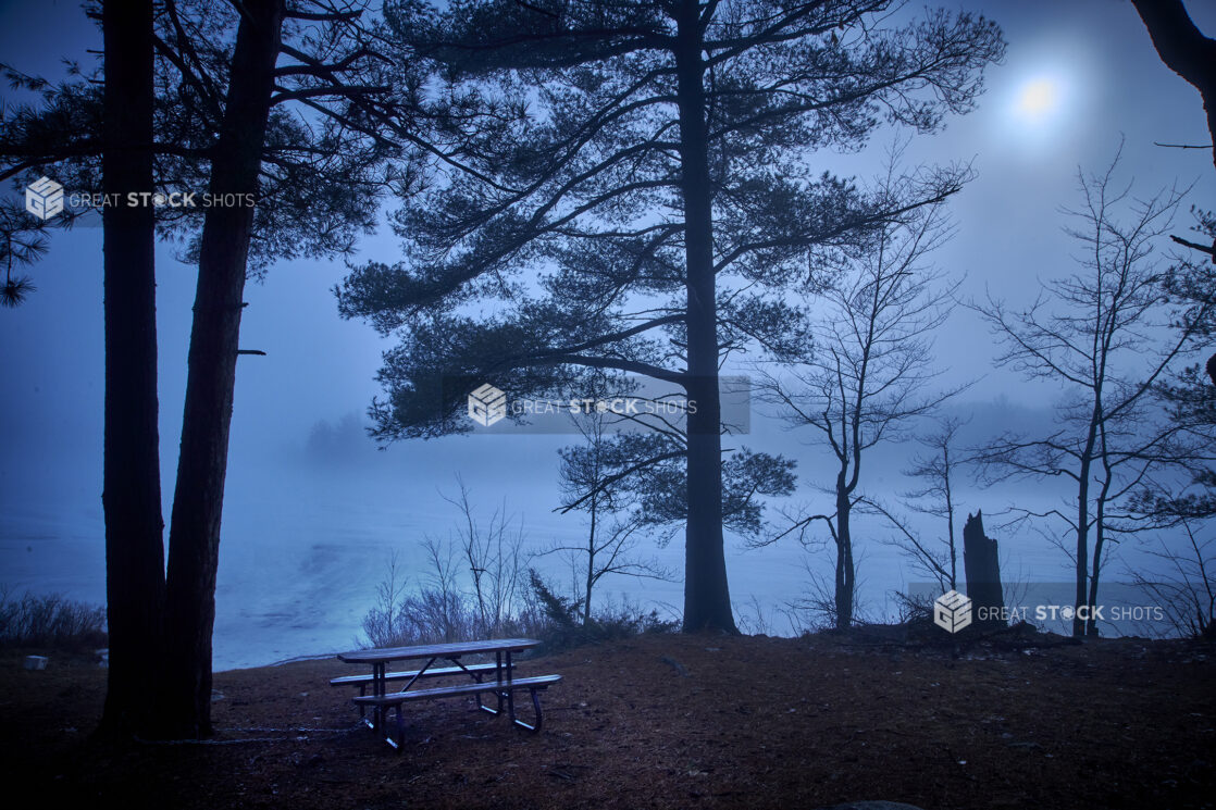 Picnic Table and Pine Trees Overlooking a Frozen Lake and Blowing Snow Lit by Moonlight in Cottage Country in Ontario, Canada