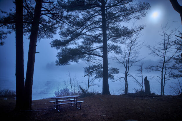 Picnic Table and Pine Trees Overlooking a Frozen Lake and Blowing Snow Lit by Moonlight in Cottage Country in Ontario, Canada