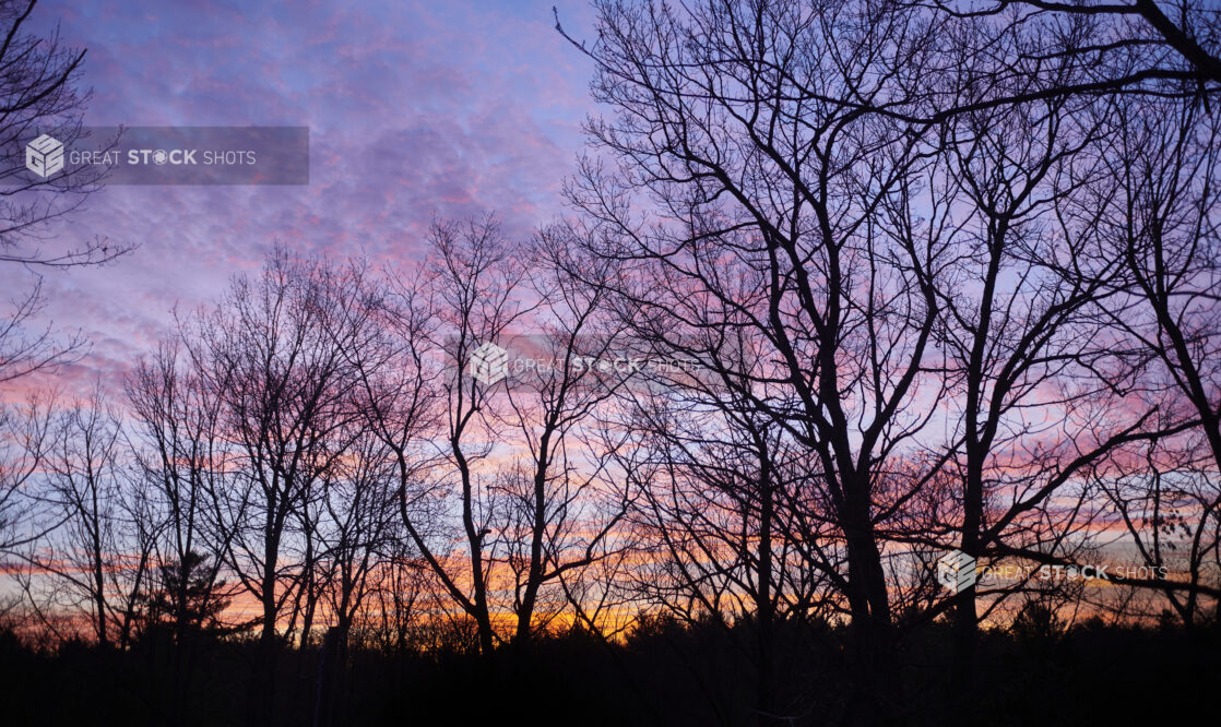 Silhouettes of Trees Against a Colourful Sky at Sunset During Winter in Cottage Country in Ontario, Canada - Variation