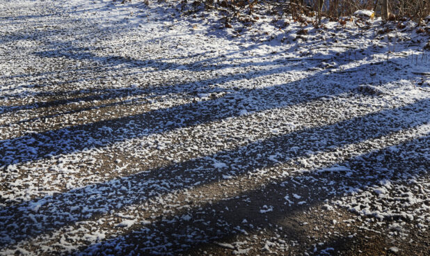 Shadows of Tree Trunks Cast on a Snowy Gravel Road in Cottage Country in Ontario, Canada