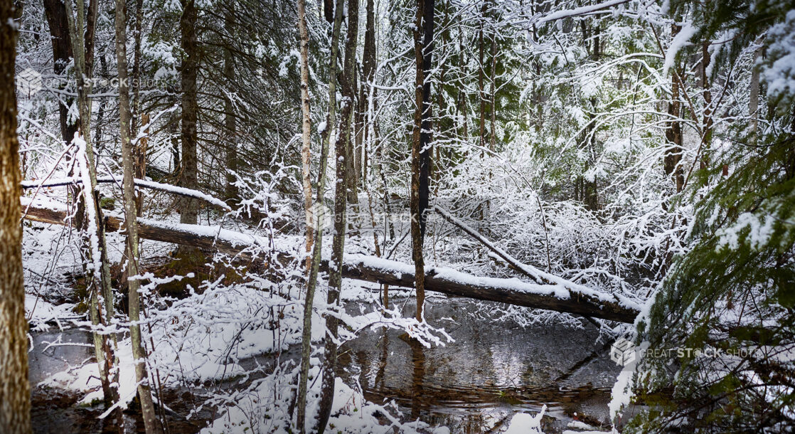 Snowy Landscape Within a Forest With a Lake in Cottage Country in Ontario, Canada