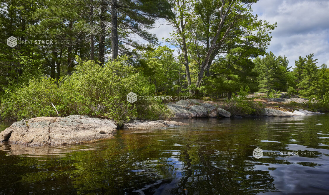 View From a Lake to the Edge of an Evergreen Forest in Cottage Country, Ontario, Canada - Variation