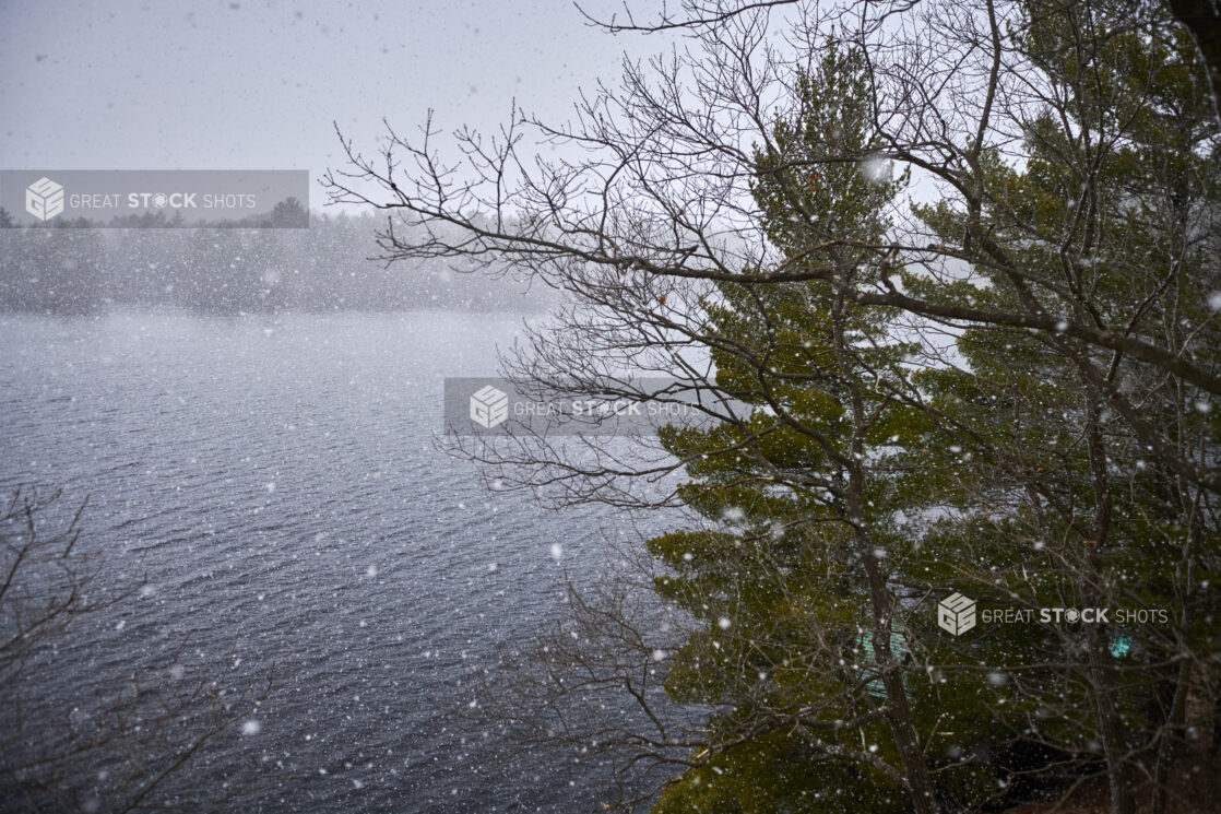 Aerial View Through Pine Trees of a Lake During Winter with Flurries in Cottage Country, Ontario, Canada - Variation